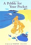 A Pebble for Your Pocket