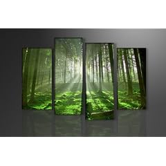 Bilder auf Leinwand Natur 130 x 80 cm Modell-Nr. XXL 6130 Bild fertig gerahmt auf echtem Holzrahmen riesig. Ausf�hrung Kunstdruck als Wandbild auf Rahmen. Viele weitere Wandbilder in unserem Amazon H�ndlershop.