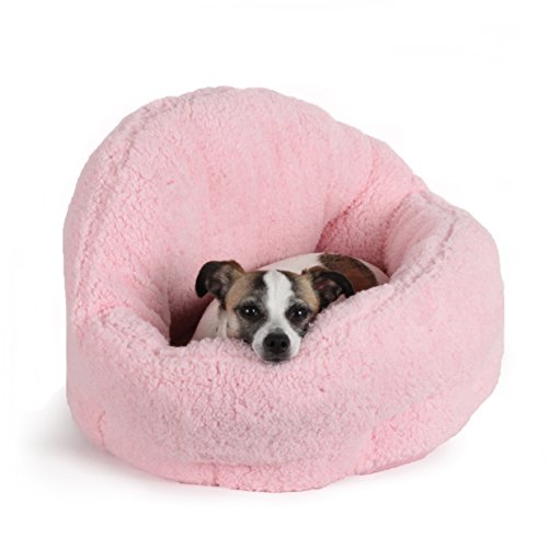 Unique Dog Beds