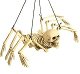 Seven Inch Skeleton Spider
