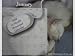 Cats Kittens 2010 14 Month Mousepad Calendar