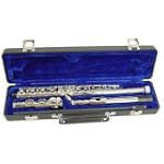 SAVE $120 - Signature Music 2810N Closed 16-hole Flute $129.99