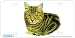 Brown Tabby cat Art Print - License Plate Tag By Robert J. May From Airstrike