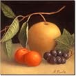 Mixed Fruit by Frances Poole - Ceramic Accent Tile 8" x 8" Kitchen Shower Backsplash