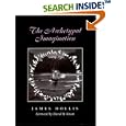 The Archetypal Imagination (Carolyn and Ernest Fay Series in Analytical Psychology) by James Hollis and David H. Rosen