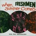 When Summer Comes: The Pye Anthology
