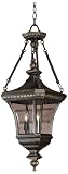 Devon Collection 31 High Outdoor Hanging Light