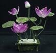 6in. Pink Jade Lotus