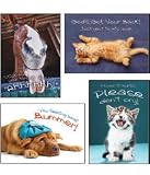 Fuzzy Friends - Scripture Greeting Cards - NIV - Boxed - Get Well