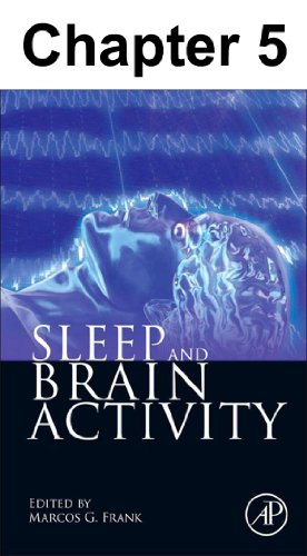 Chapter 005, Evoked Electrophysiological and Vascular Responses across Sleep