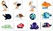 Ocean In My Pocket Paradise Cove - Full set of 12 figures_s-1