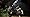 Fable Ii Image #10 Fable Ii Image #10