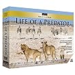 World Class Films: Life of a Predator