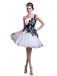 A-line Applique One Shoulder Organza Mini Dress 