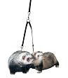 Marshall Ferret Tandem Coupler, Black