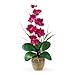 New Nearly Natural Single Stem Phalaenopsis Silk Orchid Arrangement Charming Pretty Realistic Beauty