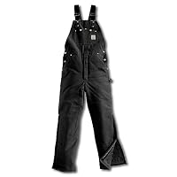 Carhartt R03 Arctic Bib Overall