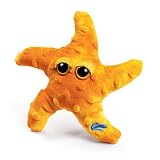 SeaPals Starfish