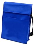 Insulated Lunch Bag, Royal