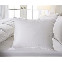 700 Fill Power Down Pillow - Standard