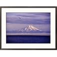 Mt. Redoubt Volcano & Cook Inlet Ninilchik, AK Collections Framed Photographic Poster Print by Troy & Mary Parlee, 29x21