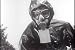 Historic Atomic & Hydrogen Bomb Civil Defense Films DVD: Old Biological & Chemical Wa...