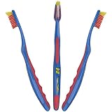 Jeff Gordon #24 Toothbrush