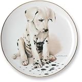 Wild Wings Puppy Plates - Gesundheit - B0006U382G