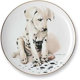 Wild Wings Puppy Plates - Gesundheit
