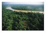 Borneo