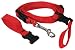 The Buddy System - Hands Free Leash - Small Dog System Black