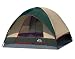 WeatherRite Fast-Pitch 9- by 9-Foot Four-Person Tent