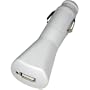 Lenmar Charger with USB Charge Port for iPod (White)