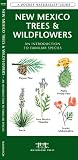 New Mexico Trees & Wildflowers: An Introduction to Familiar Species (Pocket Naturalist Guide)