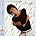Jeff Lorber