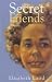Secret Friends (Story Book)