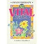 Phytotherapy - 50 Vital Herbs