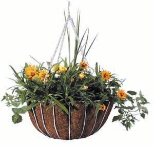 Classix Planter Black 14.00 Aust 12/cs