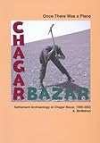 Once there was a place : settlement archaeology at Chagar Bazar, 1999-2002