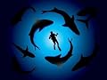 Sharks and Scuba Diver Vector - 48"W x 36"H - Peel and Stick Wall Decal by Wallmonkeys