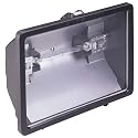 Globe 60500 Supra Lite 500-Watt Outdoor Halogen Flood Light, Black