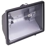 Globe 60500 Supra Lite 500-Watt Outdoor Halogen Flood Light, Black