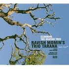 Climbing the Banyan Tree by Ravish Momin