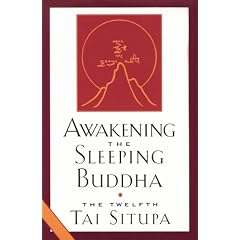 Awakening the Sleeping Buddha: The Twelfth Tai Situpa