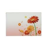 Zeller 26242 Glasschneideplatte 