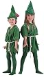 Kid's Peter Pan Halloween Costume (X-Large 12-14)