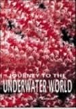 Journey to the underwater world