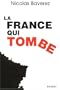 La France qui tombe : Un constat clinique du d�clin fran�ais