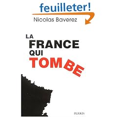 La France qui tombe : Un constat clinique du d�clin fran�ais