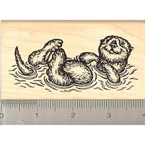 Sea Otter